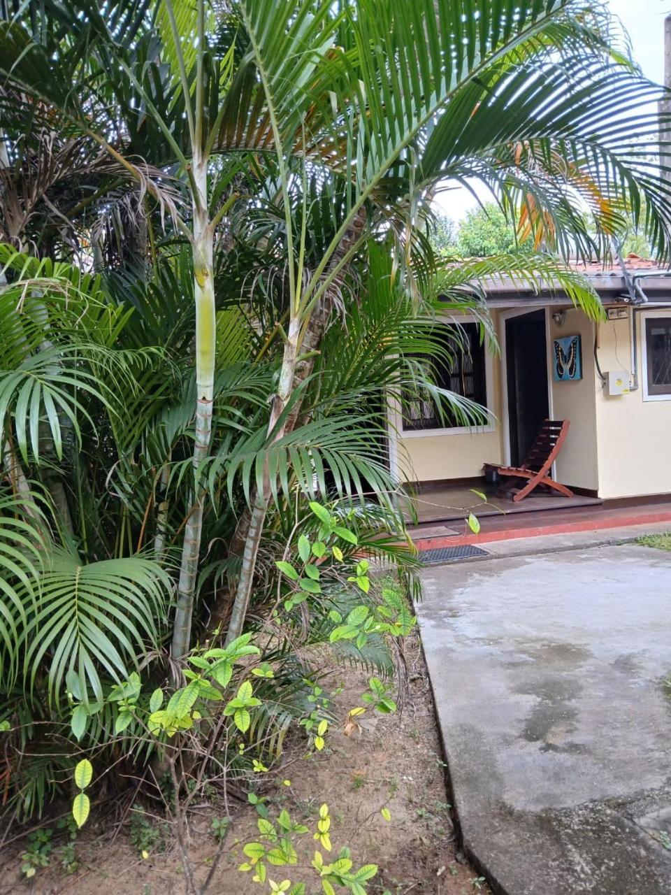 Fuchs Villas Negombo Luaran gambar
